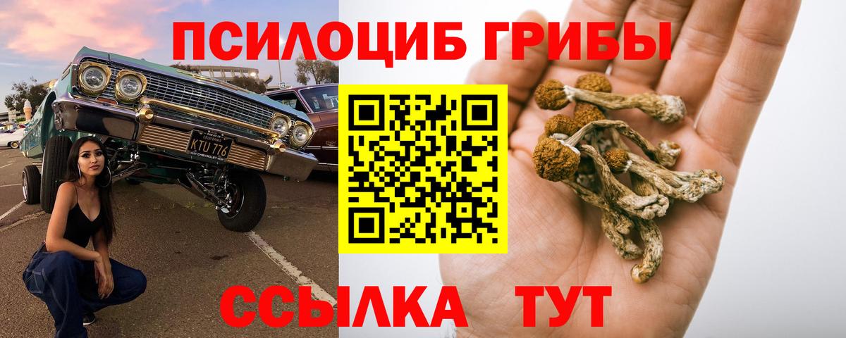 Псилоцибиновые грибы Magic Shrooms Коломна