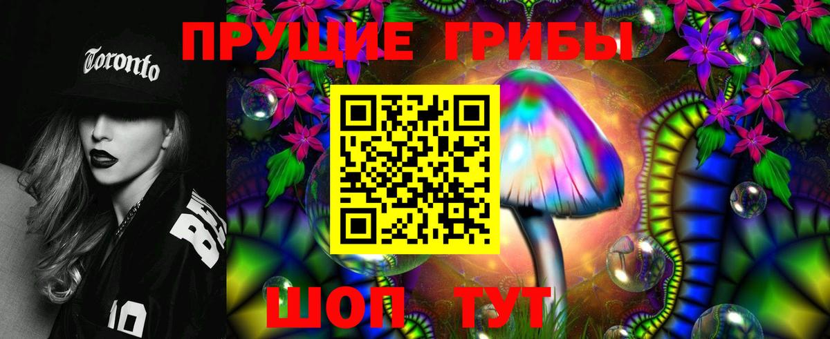 Псилоцибиновые грибы MAGIC MUSHROOMS  Вход с VPN  Псилоцибиновые грибы прущие грибы  Коломна 
